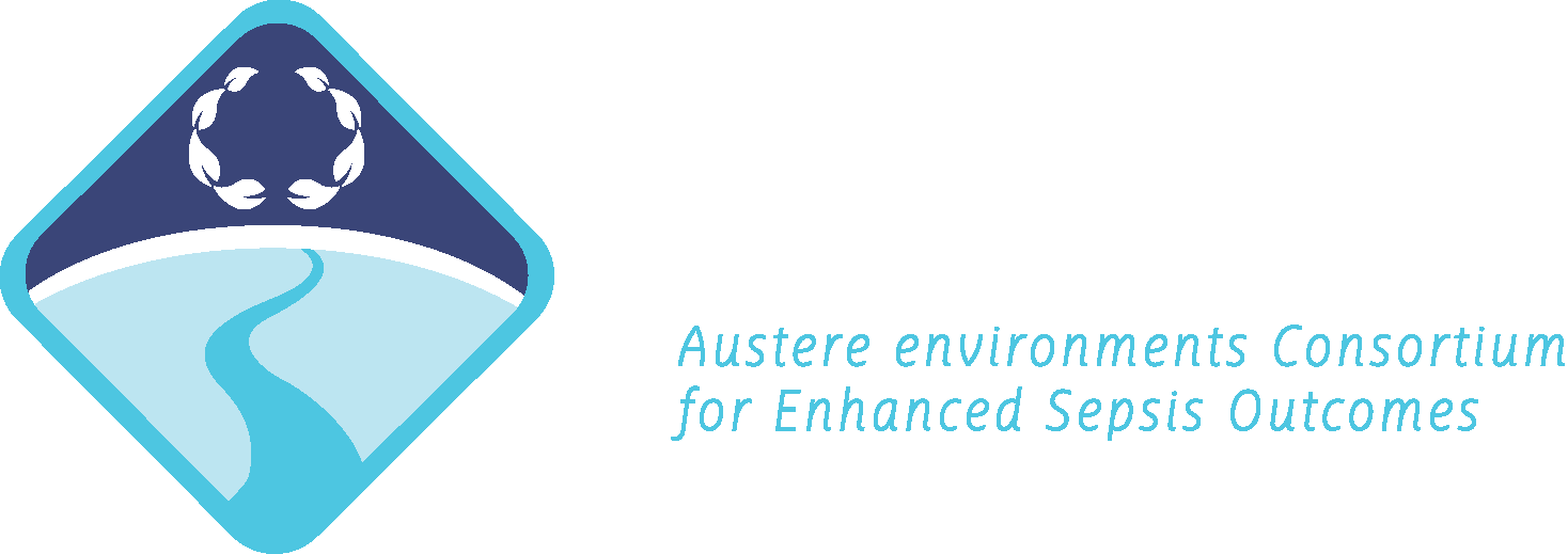 ACESO Logo - White Acronym